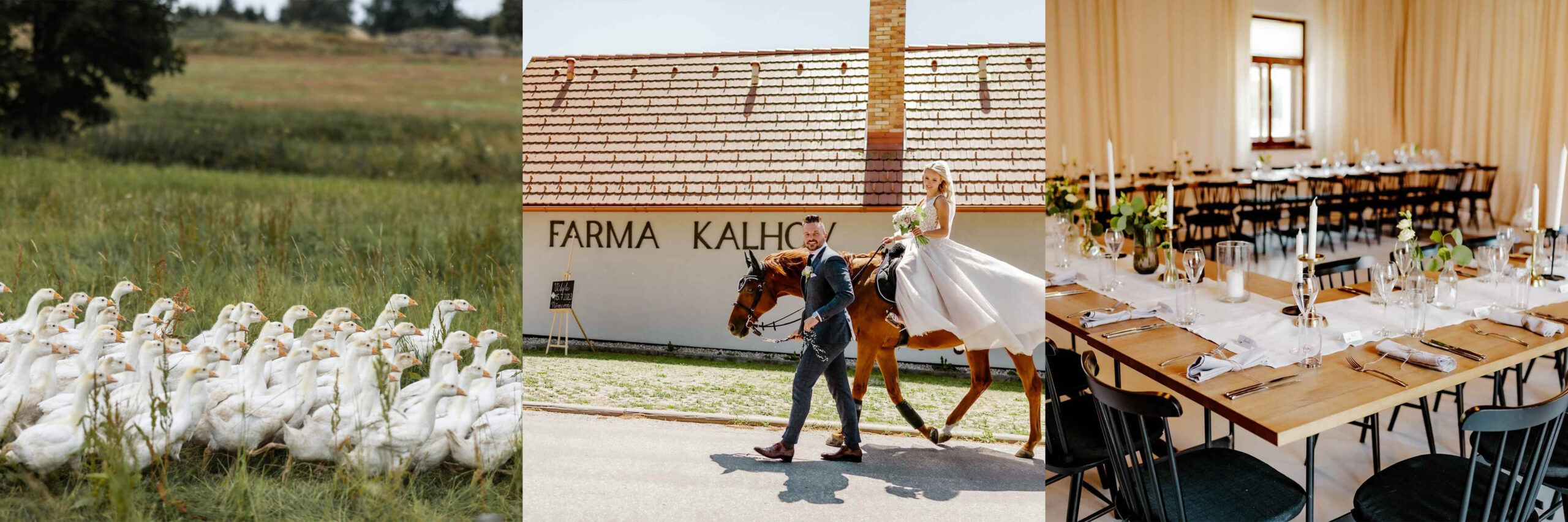 Husí Farma Kalhov | Svatební místo